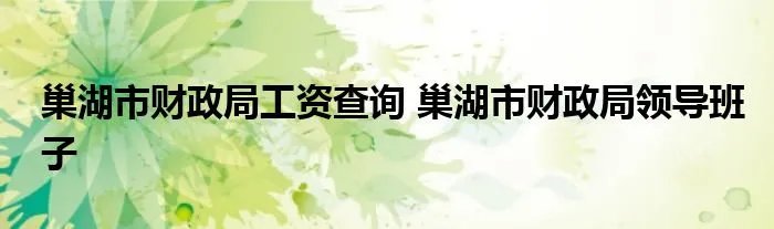 巢湖市财政局工资查询 巢湖市财政局领导班子