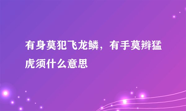 有身莫犯飞龙鳞，有手莫辫猛虎须什么意思