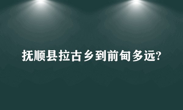 抚顺县拉古乡到前甸多远?