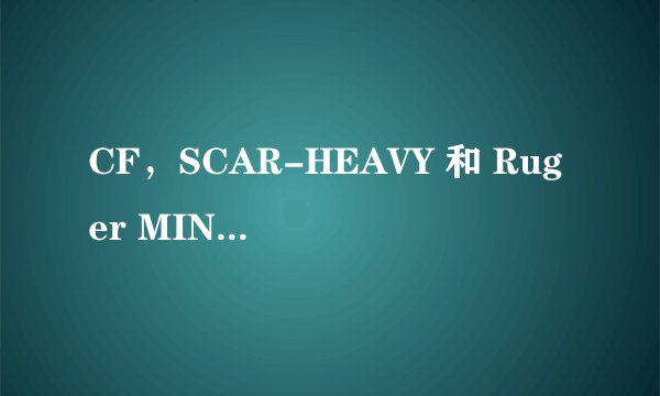 CF，SCAR-HEAVY 和 Ruger MINI-14