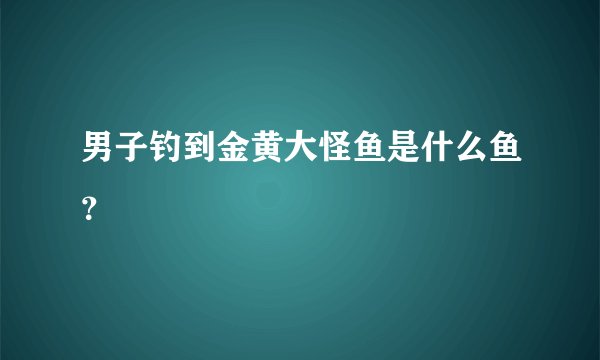 男子钓到金黄大怪鱼是什么鱼？