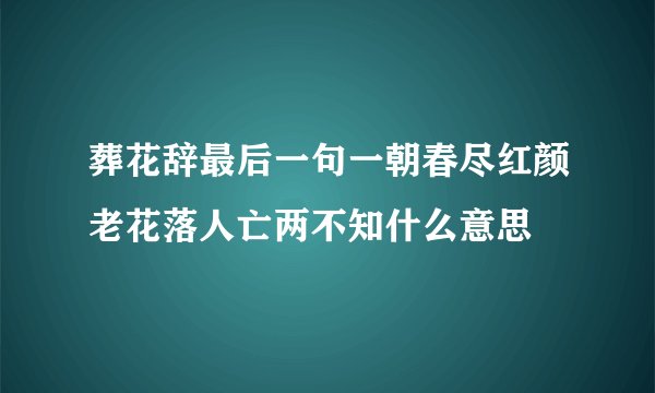 葬花辞最后一句一朝春尽红颜老花落人亡两不知什么意思