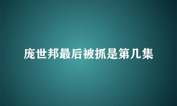 庞世邦最后被抓是第几集
