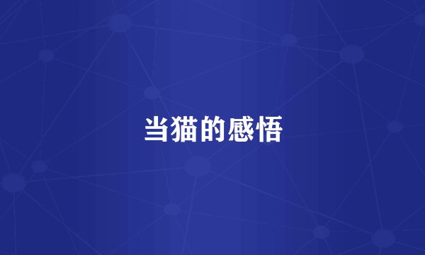 当猫的感悟