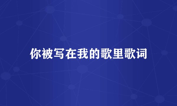 你被写在我的歌里歌词