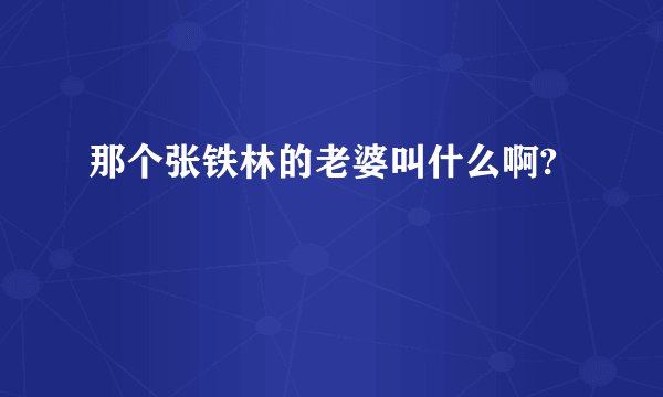 那个张铁林的老婆叫什么啊?