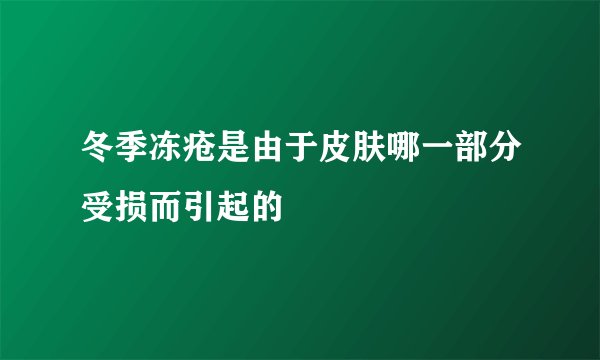冬季冻疮是由于皮肤哪一部分受损而引起的