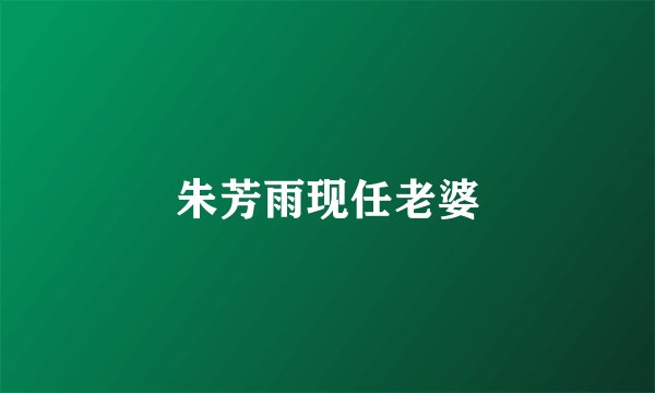 朱芳雨现任老婆
