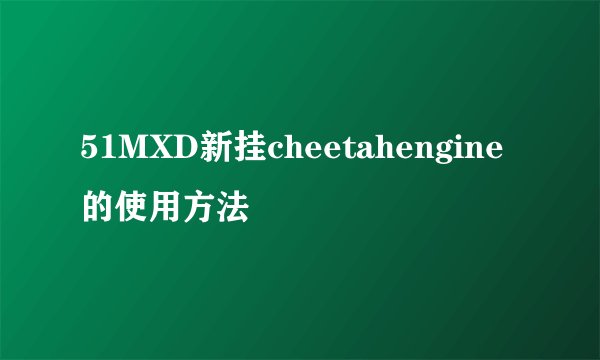 51MXD新挂cheetahengine的使用方法