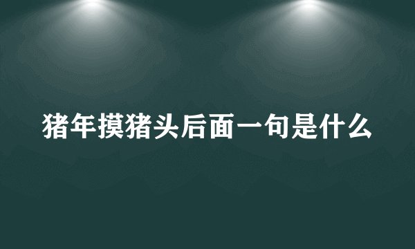 猪年摸猪头后面一句是什么