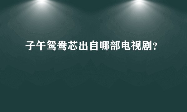 子午鸳鸯芯出自哪部电视剧？