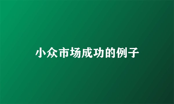 小众市场成功的例子