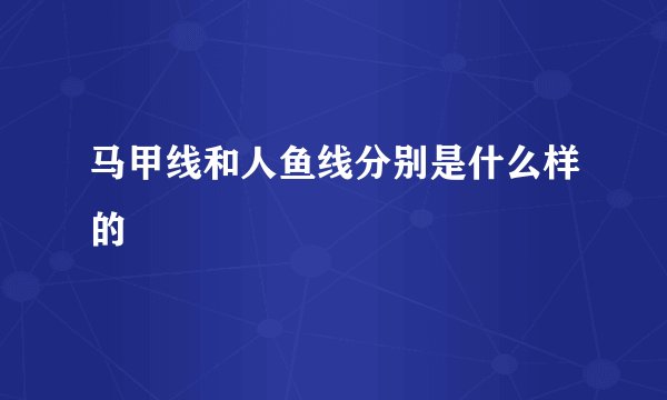 马甲线和人鱼线分别是什么样的