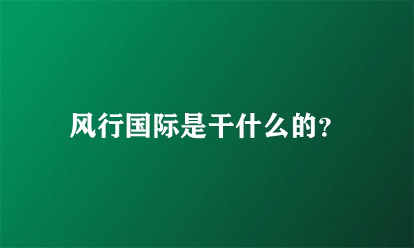 风行国际是干什么的？