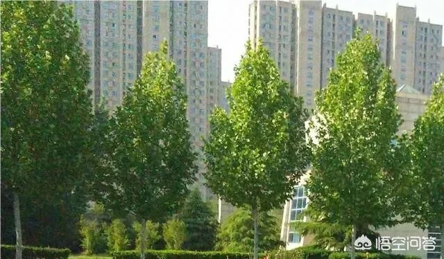 该如何选择小学?