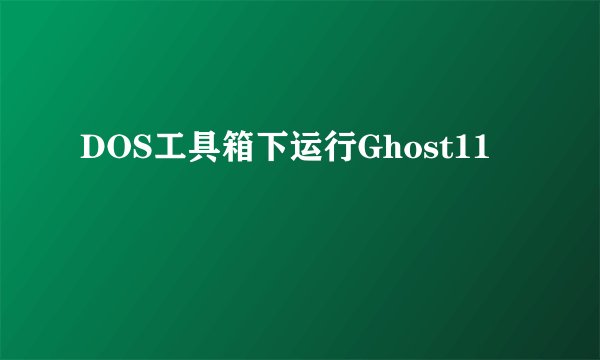 DOS工具箱下运行Ghost11