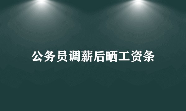 公务员调薪后晒工资条