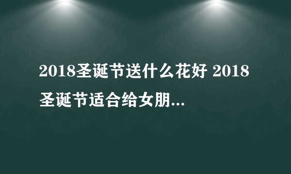 2018圣诞节送什么花好 2018圣诞节适合给女朋友送什么花