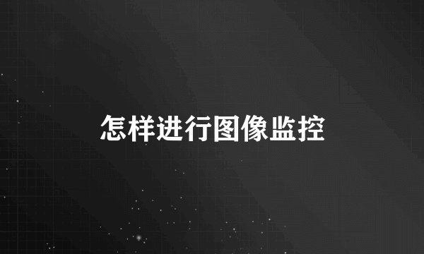 怎样进行图像监控