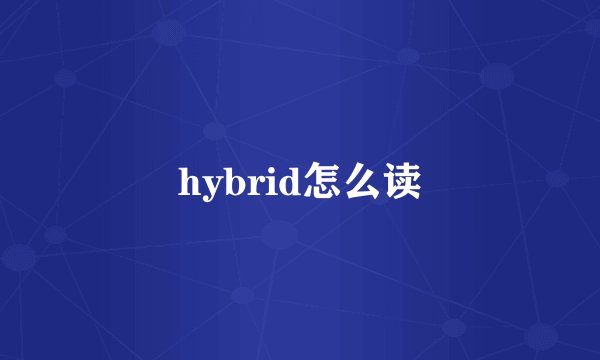 hybrid怎么读