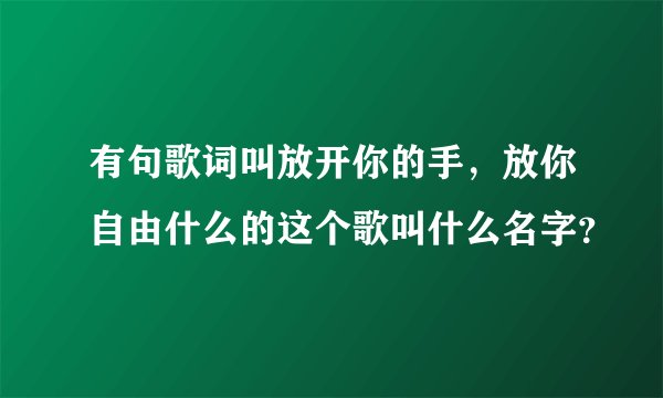 有句歌词叫放开你的手，放你自由什么的这个歌叫什么名字？
