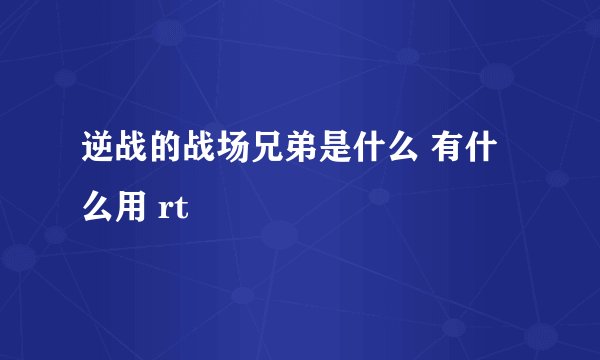 逆战的战场兄弟是什么 有什么用 rt