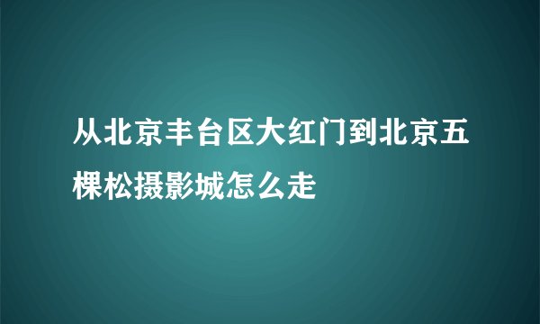从北京丰台区大红门到北京五棵松摄影城怎么走