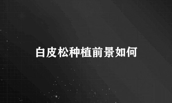 白皮松种植前景如何