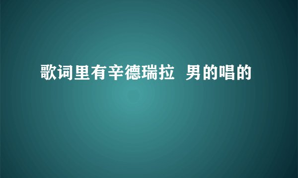 歌词里有辛德瑞拉 男的唱的