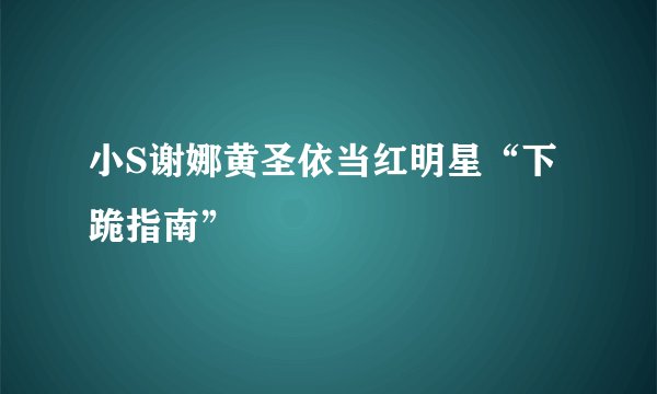 小S谢娜黄圣依当红明星“下跪指南”