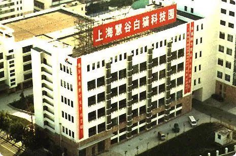ST白猫的介绍