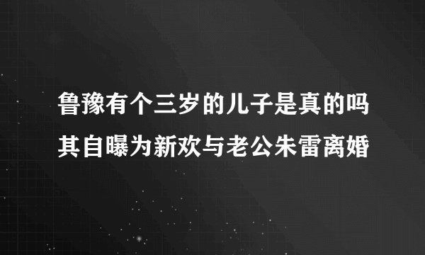鲁豫有个三岁的儿子是真的吗其自曝为新欢与老公朱雷离婚