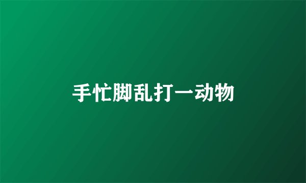 手忙脚乱打一动物