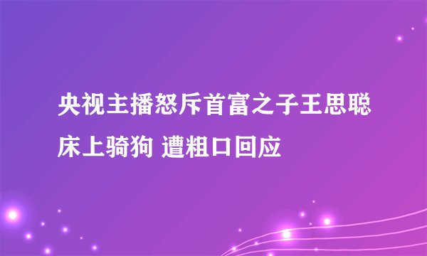 央视主播怒斥首富之子王思聪床上骑狗 遭粗口回应