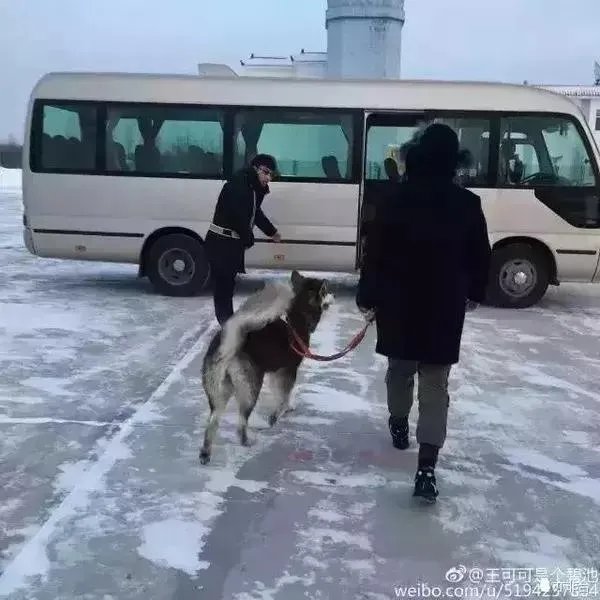 王思聪频繁约会网红，他的初恋是谁？