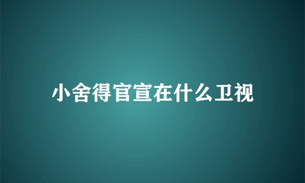 小舍得官宣在什么卫视