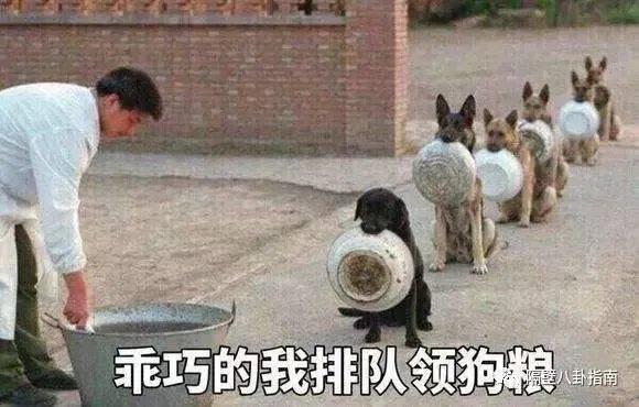 林宥嘉求婚丁文琪,你祝福吗?