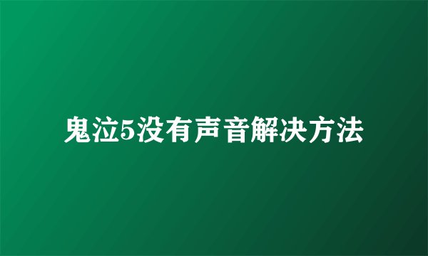 鬼泣5没有声音解决方法