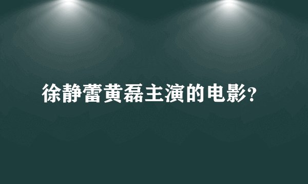 徐静蕾黄磊主演的电影？