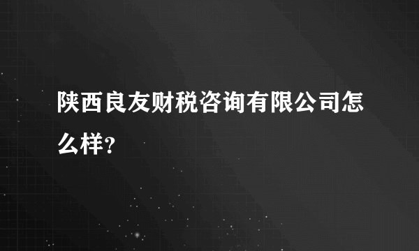 陕西良友财税咨询有限公司怎么样？
