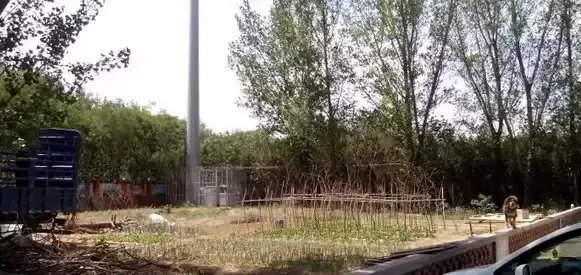 52岁大叔,在北京用集装箱造了一栋“桃花源”别墅,看完就膜拜了!
