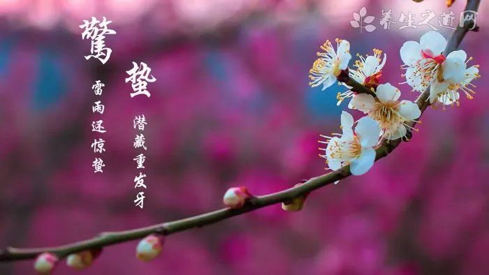 17岁护肤品套装哪个好 适合17岁用的补水牌子