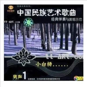 槐花几时开的歌曲影响