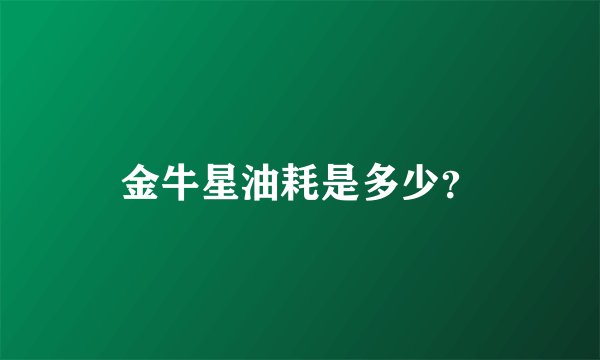 金牛星油耗是多少?