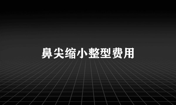 鼻尖缩小整型费用