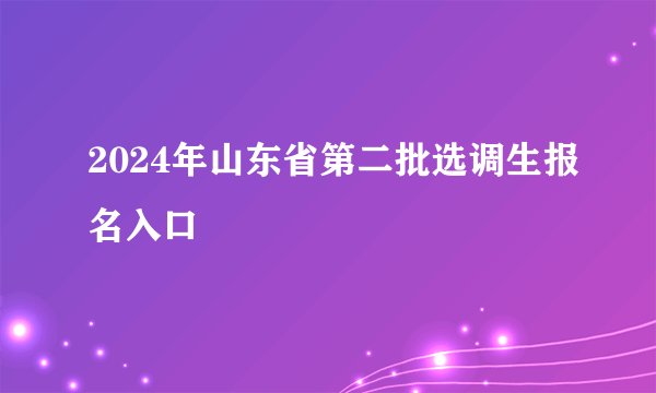 2024年山东省第二批选调生报名入口