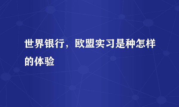 世界银行，欧盟实习是种怎样的体验