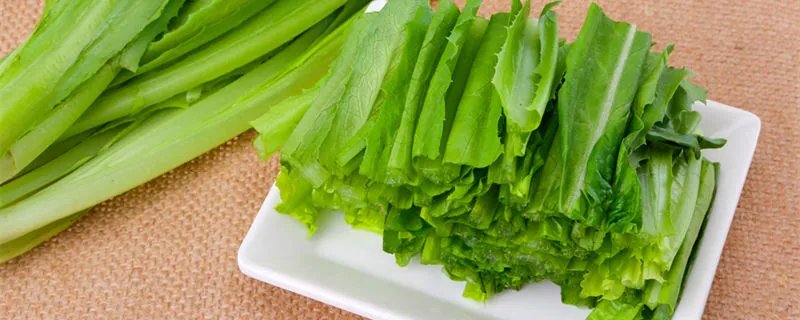 立春节气一般吃什么菜 立春时节吃什么菜
