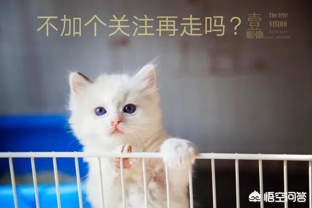 为什么有些溺水死亡的人被人拉上来胳膊和腿都是卷曲着的?