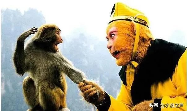 孙悟空没有上过学，怎么能识字写字？